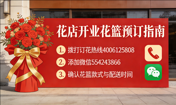 ���쿪��������